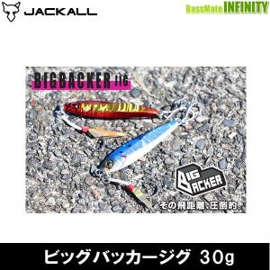 ●ジャッカル　ビッグバッカージグ 30g 【メール便配送可】 【まとめ送料割】