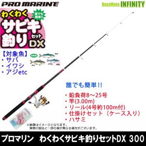 【在庫限定60％OFF】プロマリン　わくわく サビキ釣りセットDX 300 海釣り入門セット【bsr000】｜infinity-sw