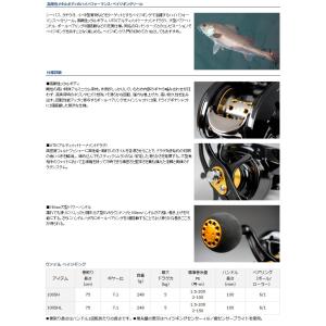 感謝価格 ダイワ 16 ヴァデル ベイジギング 100shl まとめ送料割 特価ブランド即出荷