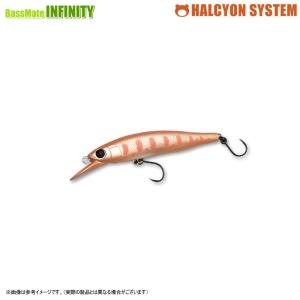 HALCYON ハルシオンシステム 月虫 66MD 浮 AREA (2024リズモ