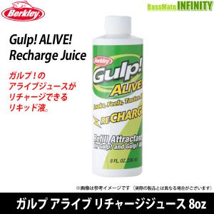Gulp! ○バークレイ Berkley Gulp ガルプ アライブ リチャージジュース