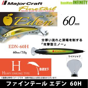 DAIWA（ダイワ） クリスティア ワカサギ HG TYPE C 34.5S / daiwa