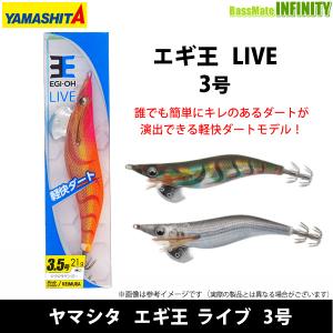 YAMASHITA（ヤマシタ） ○ヤマシタ エギ王 ライブ 3号 【メール便配送