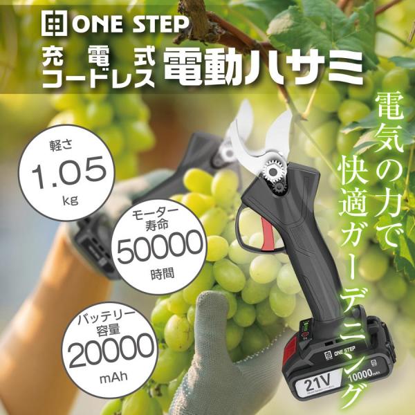 剪定ばさみ 電動 ケース付き 園芸用 コードレス 充電式 剪定ハサミ 電動鋏 剪定鋏 #741