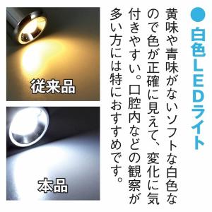 ペンライト 医療用 ナース 瞳孔計 ノック式 ...の詳細画像4