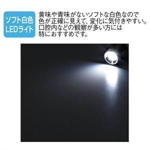 ペンライト 医療用 ナース 瞳孔計 ノック式 ...の詳細画像5