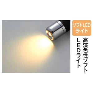 ペンライト 医療用 ナース 瞳孔計 回転式 ラ...の詳細画像3