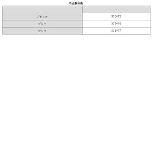 FOCALステートケースの詳細画像5