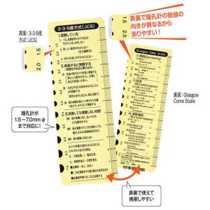 ナースグッズ ナース グッズ スケール 医療用...の詳細画像1
