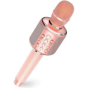 Chip Poll Confusion 車 カラオケ マイク Sonpro Jp