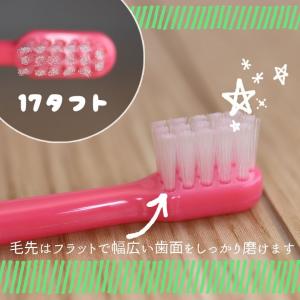 8/22.23限定5%OFFクーポン!歯ブラシ...の詳細画像1