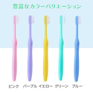 8/22.23限定5%OFFクーポン!20本 ...の詳細画像2