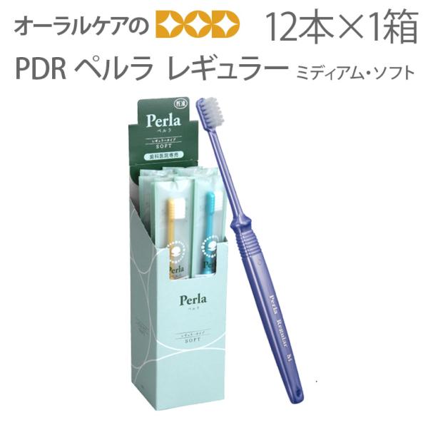 歯ブラシ PDR ペルラ レギュラー 12本 メール便可 3セットまで メール便送料無料 即発送