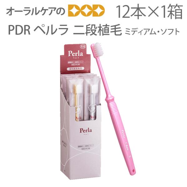 歯ブラシ PDR ペルラ 二段植毛 12本 メール便可 3セットまで メール便送料無料 即発送