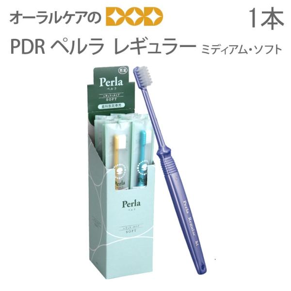 歯ブラシ PDR ペルラ レギュラー 1本 メール便可 40本まで 即発送