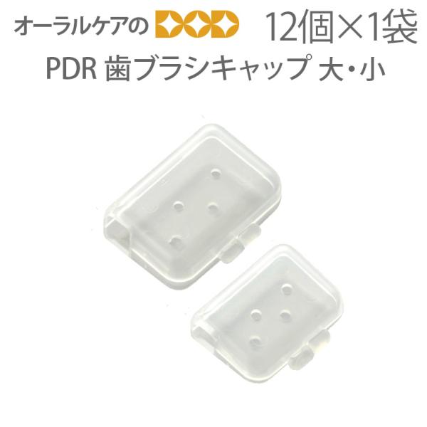 PDR 歯ブラシキャップ 1袋 12個入 2サイズ メール便可 2セットまで 即発送