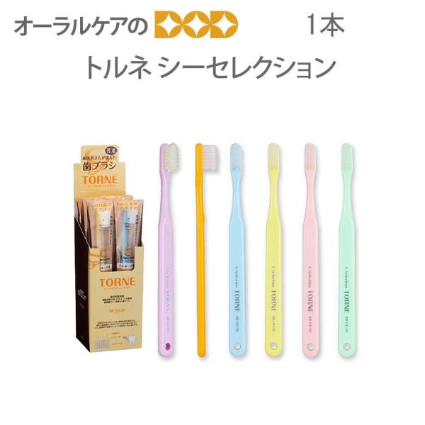 4/17-19限定！5%OFFクーポン！歯ブラシ PDR シーセレクション トルネ キャップなし 1...