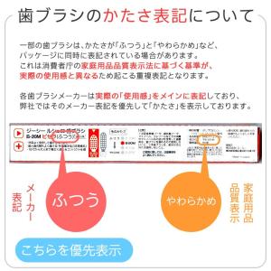 8/11限定5%OFFクーポン!歯ブラシ Ci...の詳細画像2
