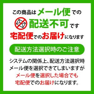 4/1限定!5%OFFクーポン!コンクールF ...の詳細画像4