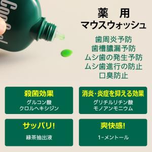 4/1限定!5%OFFクーポン!コンクールF ...の詳細画像2