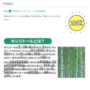 9/15限定3%OFFクーポン!歯科専用 キシ...の詳細画像3