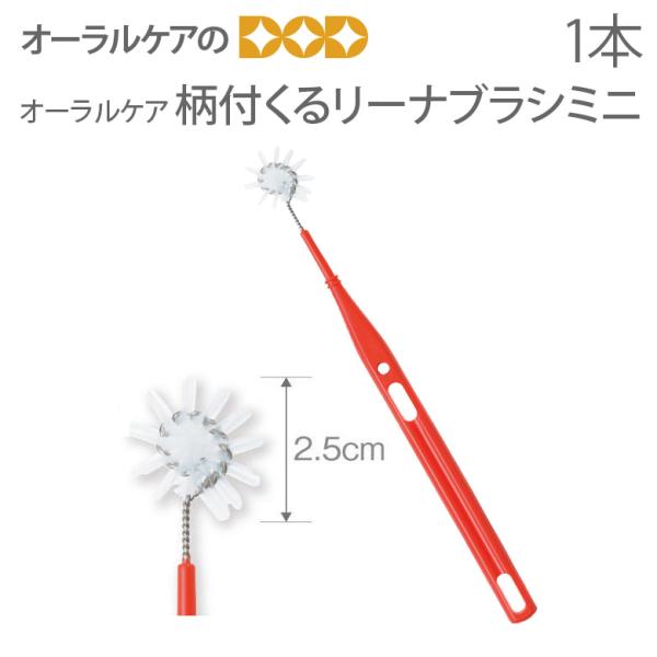 オーラルケア 柄付くるリーナブラシミニ 1本 メール便不可