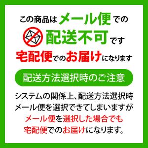 7/31-8/2限定5%OFFクーポン!システ...の詳細画像4