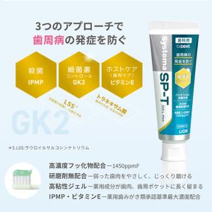7/31-8/2限定5%OFFクーポン!システ...の詳細画像2