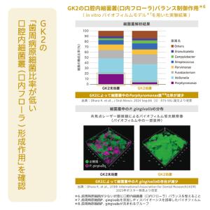 7/31-8/2限定5%OFFクーポン!システ...の詳細画像3