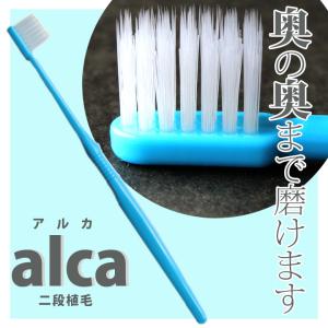3/25限定!5%OFFクーポン!歯ブラシ P...の詳細画像1