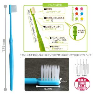 3/25限定!5%OFFクーポン!歯ブラシ P...の詳細画像2