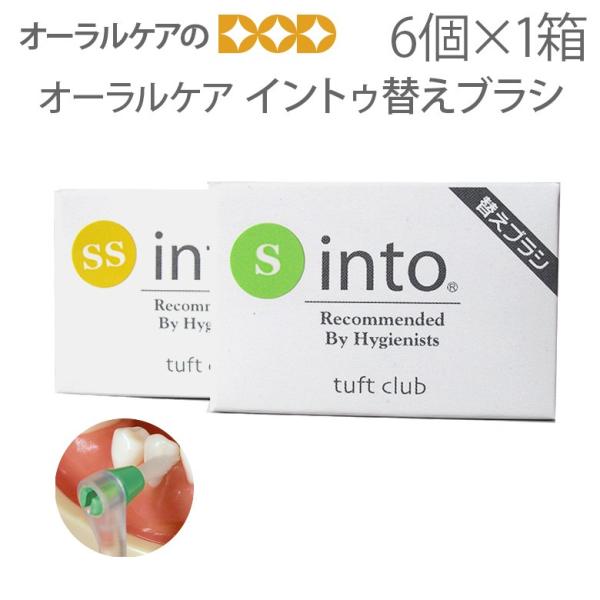 8/11限定5%OFFクーポン！歯ブラシ オーラルケア イントゥ替えブラシ 6個入 メール便可 10...