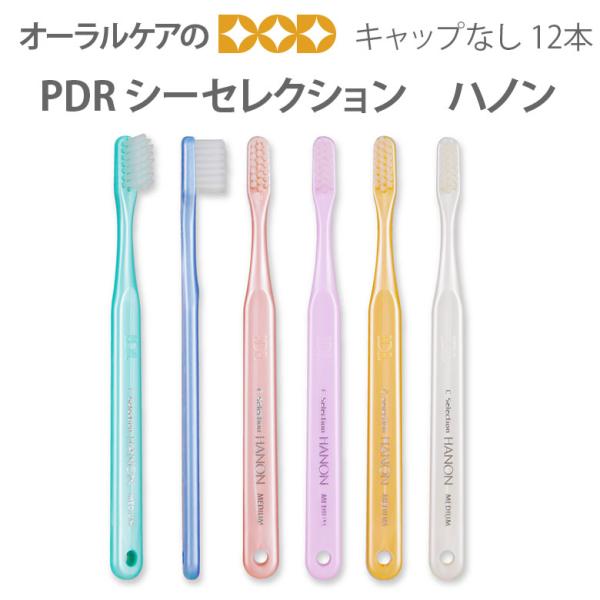 歯ブラシ PDR シーセレクション ハノン キャップなし 12本 メール便可 3セットまで 即発送