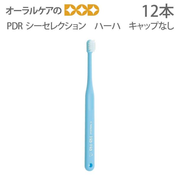 歯ブラシ 子供 PDR シーセレクション ハーハ キャップなし 仕上げみがき用 12本 メール便可 ...