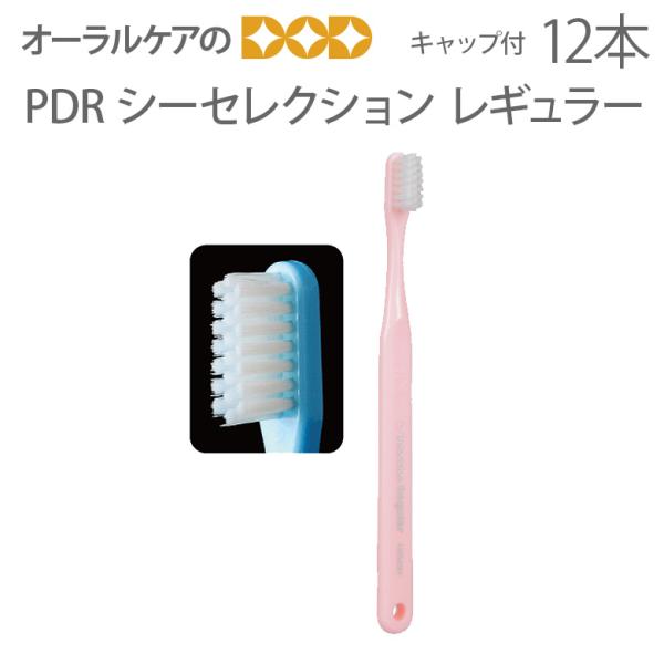 9/11-13限定3%OFFクーポン！歯ブラシ PDR シーセレクション レギュラー キャップ付き ...
