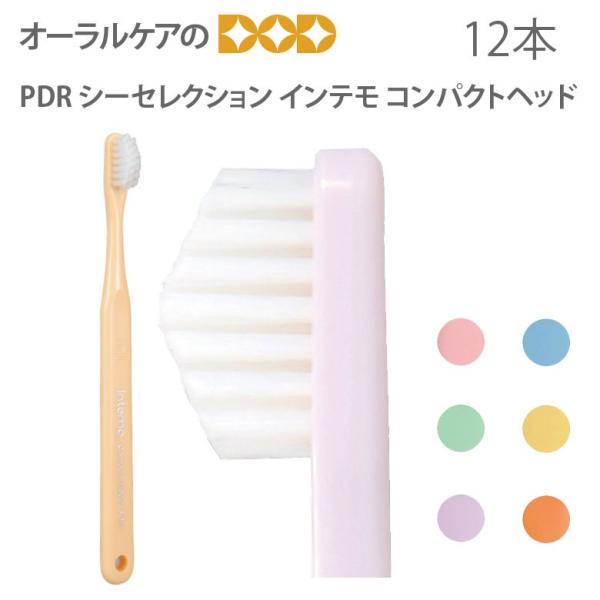 歯ブラシ PDR シーセレクション インテモ コンパクトヘッド 12本 キャップなし 6色アソート ...