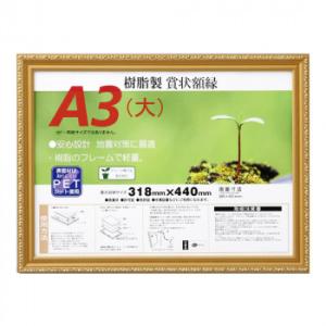 賞状額 金消-R A3(大) 33J045B3400