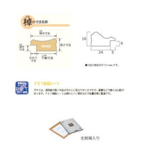 賞状額 金消-R B3  33J045C4400