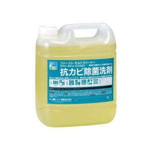 抗カビ除菌洗剤　FSC-PROファースト・モルドクリーナー4kg 23020052｜infomart