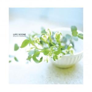 ナカバヤシ　デジタルフリー10R　ライフシーン　ブルー　LPF-1001-B