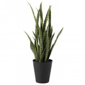 観葉植物 造花 サンスベリア グリーン サンセベリア 80cm 鉢植 フェイクグリーン 人工観葉植物 光触媒 Ct触媒 インテリア Tk フェイクグリーンの神戸花物語 通販 Yahoo ショッピング
