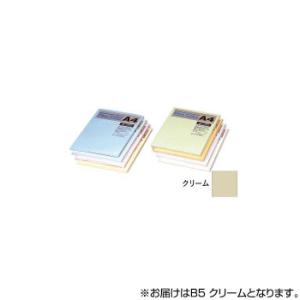 オストリッチダイヤ ニューファインカラーPPC用紙 B5 クリーム 500枚入 FCR5-B5