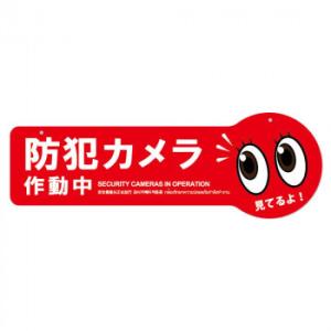 防犯プレート横型LL　06赤 SC06R-HLL