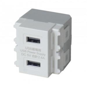 ELPA 埋込USB給電用コンセント R3701(E)
