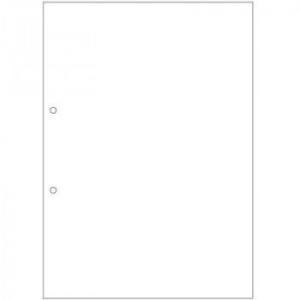 ヒサゴ FSC(R)認証マルチプリンタ帳票 複写タイプ A4 ノーカーボン　白紙2穴　大入 FSCF...