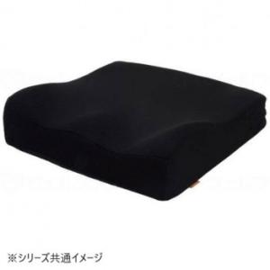 タカノ タカノ クッション R ブラック タイプ1 TC-R081 547171