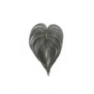 プリシラ 白髪隠しウィッグ 分け目タイプ TNGH 耐熱ナチュラルグレイヘア ST-005-TNGH