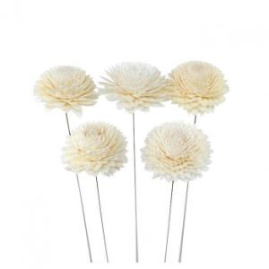 ソラフラワー ステムタイプ4 ナチュラル(1束/5本) Z-0352 MUM-B 57r500000...