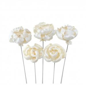 ソラフラワー ステムタイプ4 ナチュラル(1束/5本) Z-0367 PEONY-C 57r7000...