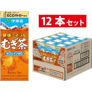 お〜いお茶 おーいお茶 伊藤園 250ml 12本 紙パック 緑茶 お茶 日本茶